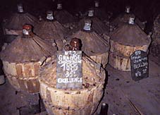 cognac in barrels